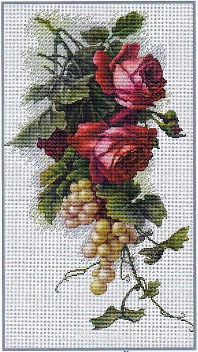 Roses rouges et raisins #2229